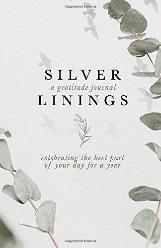 Silver Linings: A Gratitude Journal - Celebrating the best part of your day for a year.