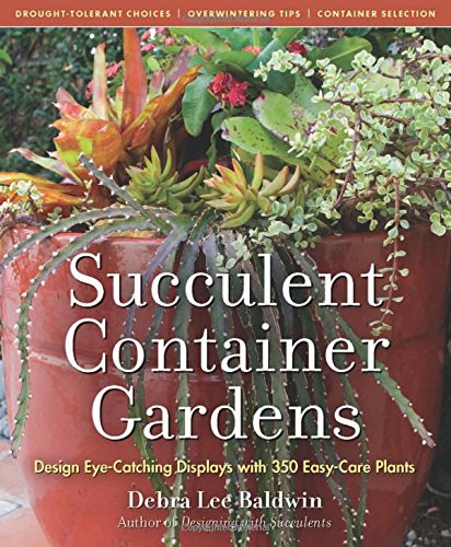 Succulent Container Gardens: Design Eye-Catching Displays with 350 Easy-Care Plants